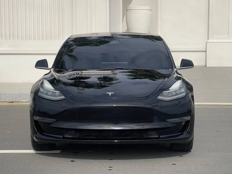 TESLA MODEL 3 Motor 1